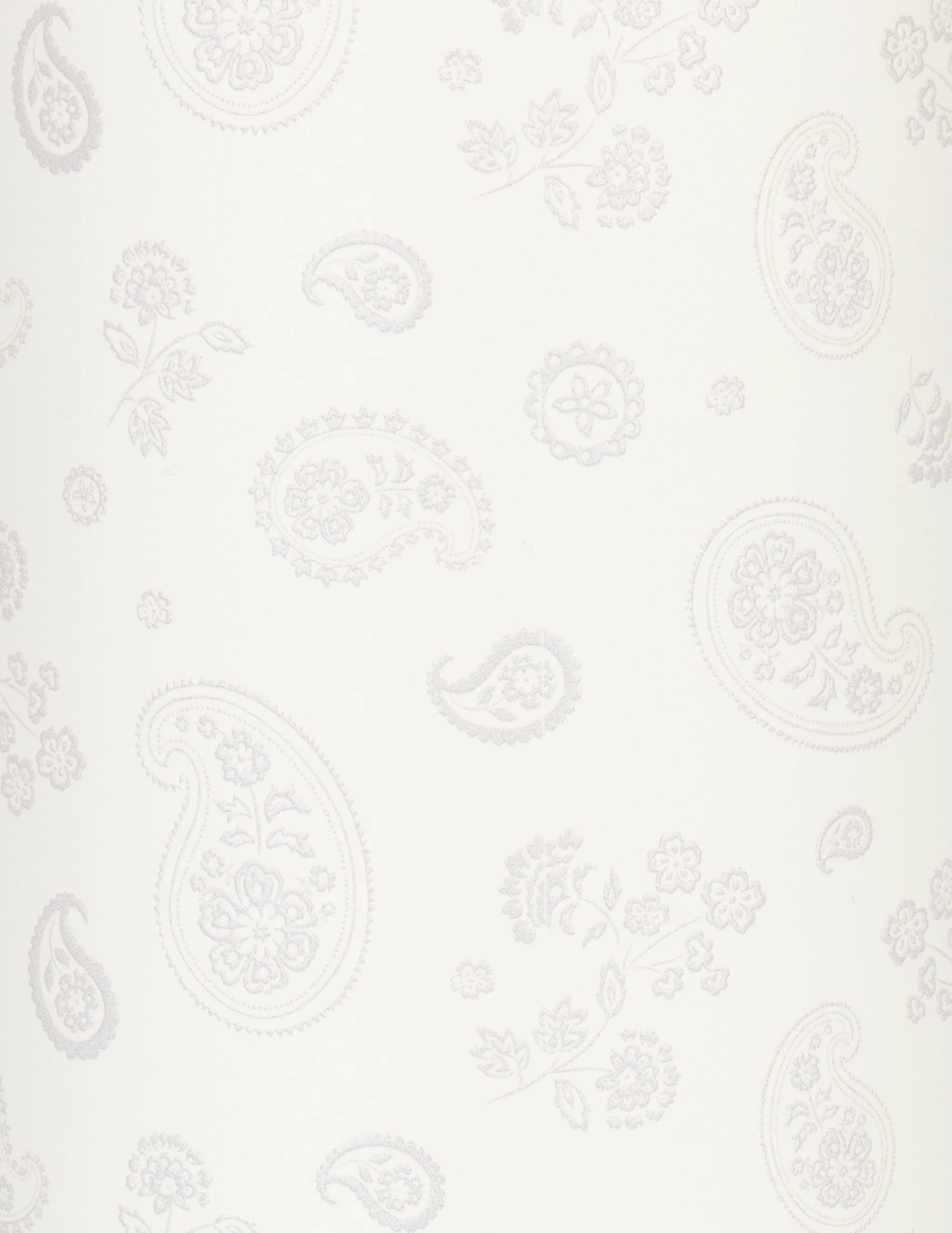 Opry Paisley 32 oz Water Bottle - Image 2